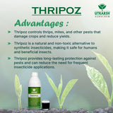 Thripoz | Natural Plants Extract Against Thrips | Natural Plant Protector for Sucking Pests- Aphids and White Fly - Utkarsh Agrochem Pvt ltd. 
