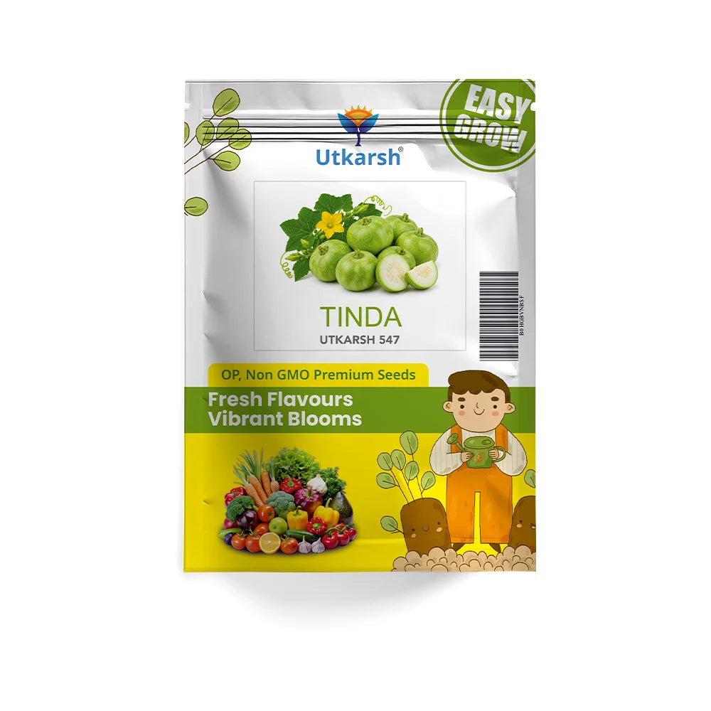 Indian Round Gourd (Tinda) Vegetable Seeds (Green, Pack of 10g)