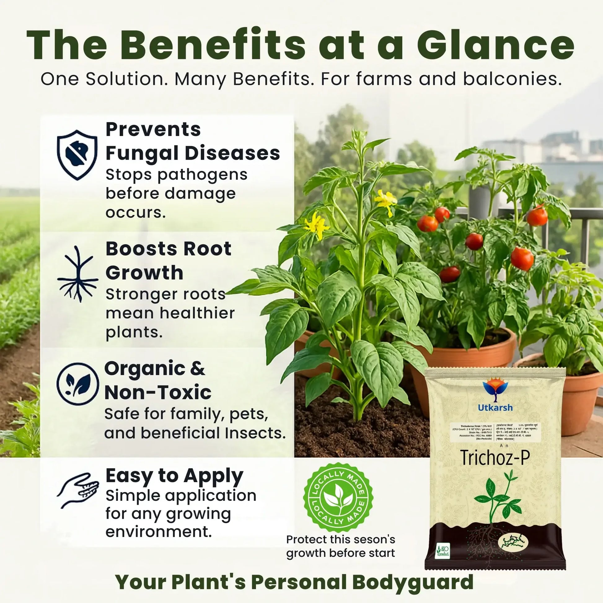 Trichoderma Viride 1.5% W.P.: 2 x 10^6 CFU/gm min. Bio Fungicide for Plants, Crops and Home Gardening - Trichoz-P - Utkarsh Agrochem Pvt ltd. 