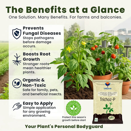 Trichoderma Viride 1.5% W.P.: 2 x 10^6 CFU/gm min. Bio Fungicide for Plants, Crops and Home Gardening - Trichoz-P - Utkarsh Agrochem Pvt ltd. 