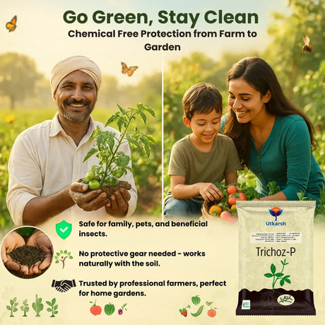 Trichoderma Viride 1.5% W.P.: 2 x 10^6 CFU/gm min. Bio Fungicide for Plants, Crops and Home Gardening - Trichoz-P - Utkarsh Agrochem Pvt ltd. 