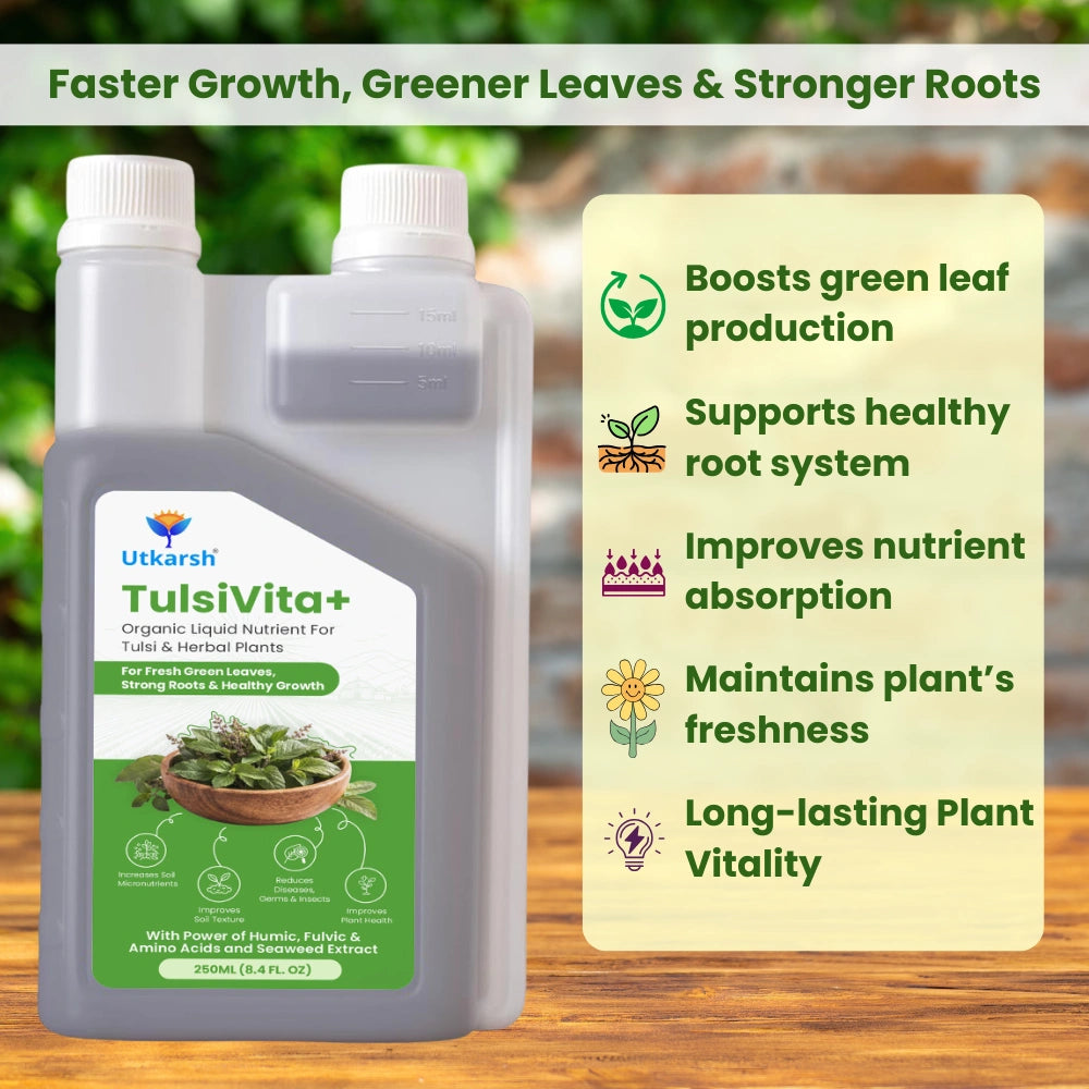TulsiVita+ - Organic Liquid Potting Mixture for Tulsi Plants, 250 ml | Plant Growth Nutrients & Natural Fertilizer with Humic, Fulvic & Amino Acids & Seaweed for Healthy Growth & Flowering