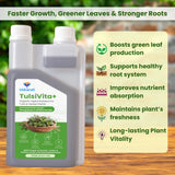 TulsiVita+ - Organic Liquid Potting Mixture for Tulsi Plants, 250 ml | Plant Growth Nutrients & Natural Fertilizer with Humic, Fulvic & Amino Acids & Seaweed for Healthy Growth & Flowering