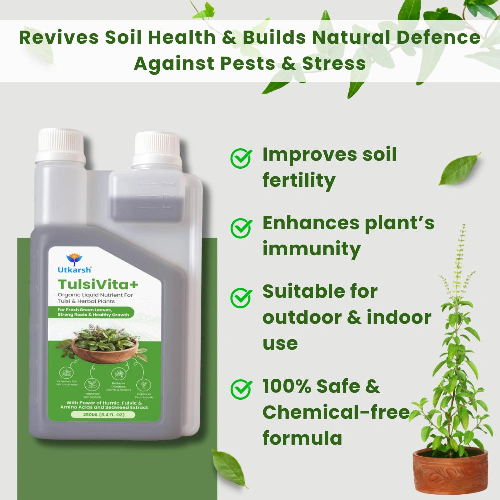 TulsiVita+ - Organic Liquid Potting Mixture for Tulsi Plants, 250 ml | Plant Growth Nutrients & Natural Fertilizer with Humic, Fulvic & Amino Acids & Seaweed for Healthy Growth & Flowering
