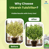 TulsiVita+ - Organic Liquid Potting Mixture for Tulsi Plants, 250 ml | Plant Growth Nutrients & Natural Fertilizer with Humic, Fulvic & Amino Acids & Seaweed for Healthy Growth & Flowering