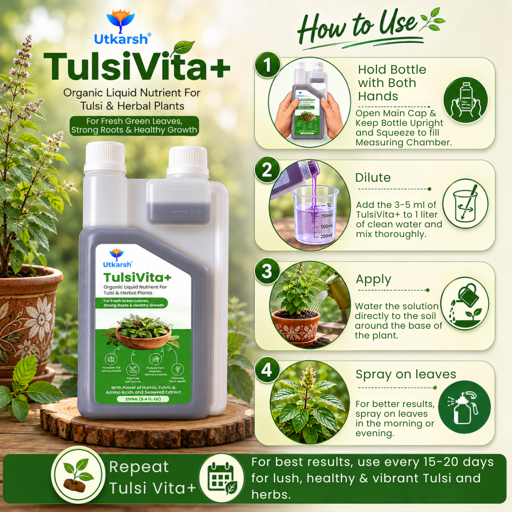 TulsiVita+ - Organic Liquid Potting Mixture for Tulsi Plants, 250 ml | Plant Growth Nutrients & Natural Fertilizer with Humic, Fulvic & Amino Acids & Seaweed for Healthy Growth & Flowering