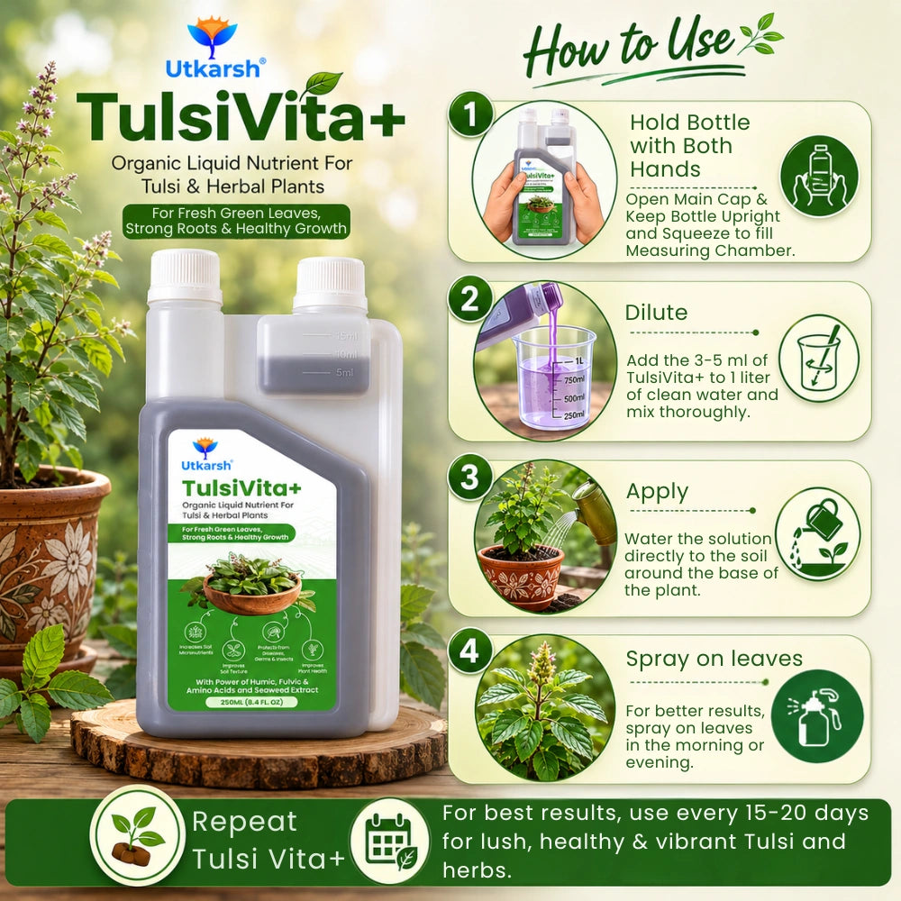 TulsiVita+ - Organic Liquid Potting Mixture for Tulsi Plants, 250 ml | Plant Growth Nutrients & Natural Fertilizer with Humic, Fulvic & Amino Acids & Seaweed for Healthy Growth & Flowering