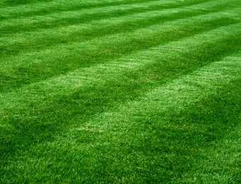 Turf & Lawns