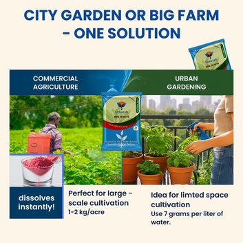 NPK 19 19 19 Fertilizer for Plants Growth | 100% Water Soluble | Complete Plant Food for Home Garden, Boosts Plant Health and Flowering