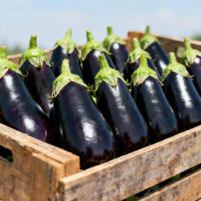 Uniform fruit color, shine and taste