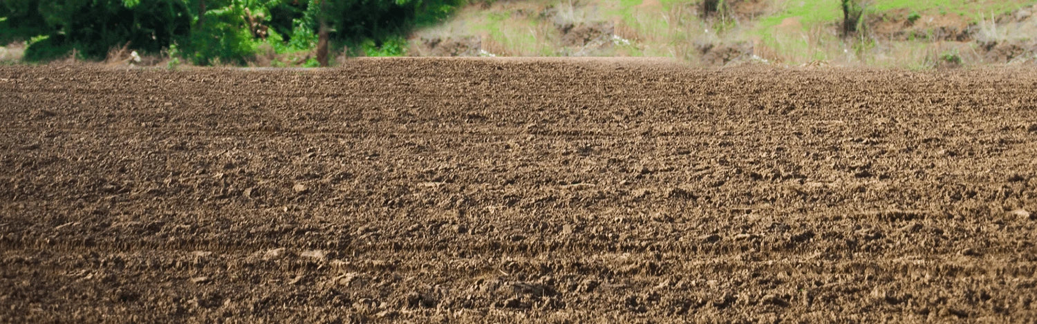 Plowed field with a natural landscape in the background