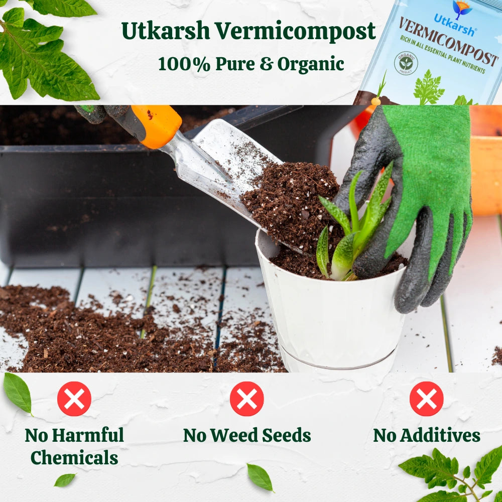 Vermicompost, 100% Natural Organic Fertilizer Manure for Plants, Nutrient Rich Compost for Home Garden, Ideal for All Gardening Use, Improves Plant Health, Water Retention & Soil Quality