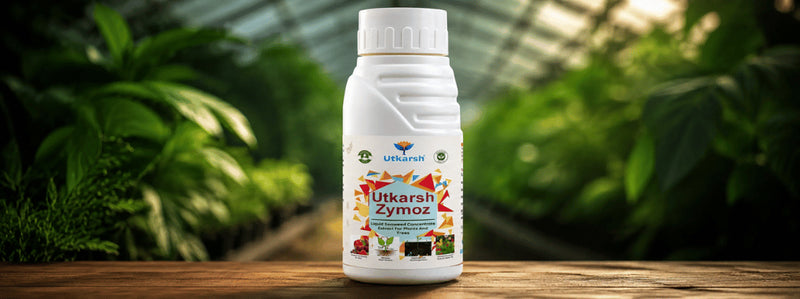 Dosage And Application