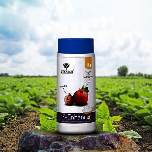 Utkarsh Agrochem Pvt ltd. – Opening Soon