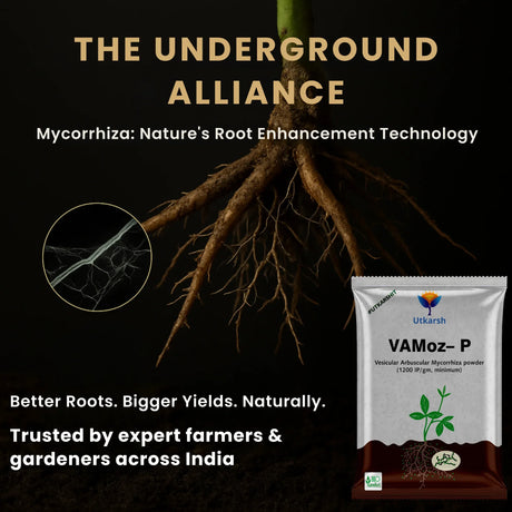Vamoz P 900 gm bio fertilizer for phosphorus solubilizing bacteria
 