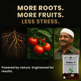 Mycorrhiza with 100 IP/gm, Bio Fertilizers for Healthy Plants, Vigorous Stem Girth, Enhances Nutrient Absorption, Water Uptake & Soil Aeration | VAMoz-P - Utkarsh Agrochem Pvt ltd. 