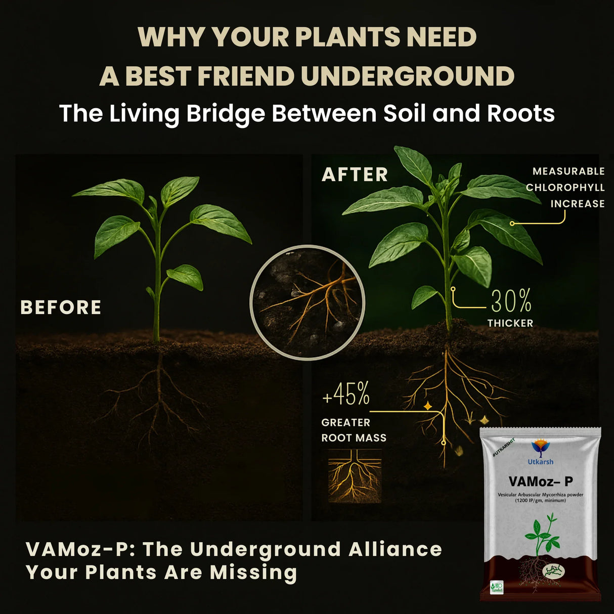 Mycorrhiza with 100 IP/gm, Bio Fertilizers for Healthy Plants, Vigorous Stem Girth, Enhances Nutrient Absorption, Water Uptake & Soil Aeration | VAMoz-P - Utkarsh Agrochem Pvt ltd. 