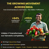 Mycorrhiza with 100 IP/gm, Bio Fertilizers for Healthy Plants, Vigorous Stem Girth, Enhances Nutrient Absorption, Water Uptake & Soil Aeration | VAMoz-P - Utkarsh Agrochem Pvt ltd. 