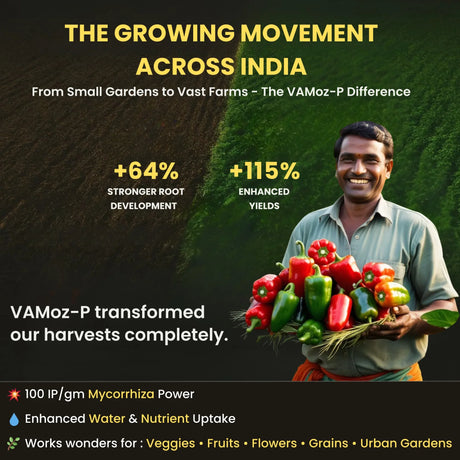 Mycorrhiza with 100 IP/gm, Bio Fertilizers for Healthy Plants, Vigorous Stem Girth, Enhances Nutrient Absorption, Water Uptake & Soil Aeration | VAMoz-P - Utkarsh Agrochem Pvt ltd. 