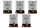 Mycorrhiza with 100 IP/gm, Bio Fertilizers for Healthy Plants, Vigorous Stem Girth, Enhances Nutrient Absorption, Water Uptake & Soil Aeration | VAMoz-P - Utkarsh Agrochem Pvt ltd. 