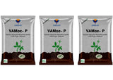Mycorrhiza with 100 IP/gm, Bio Fertilizers for Healthy Plants, Vigorous Stem Girth, Enhances Nutrient Absorption, Water Uptake & Soil Aeration | VAMoz-P - Utkarsh Agrochem Pvt ltd. 