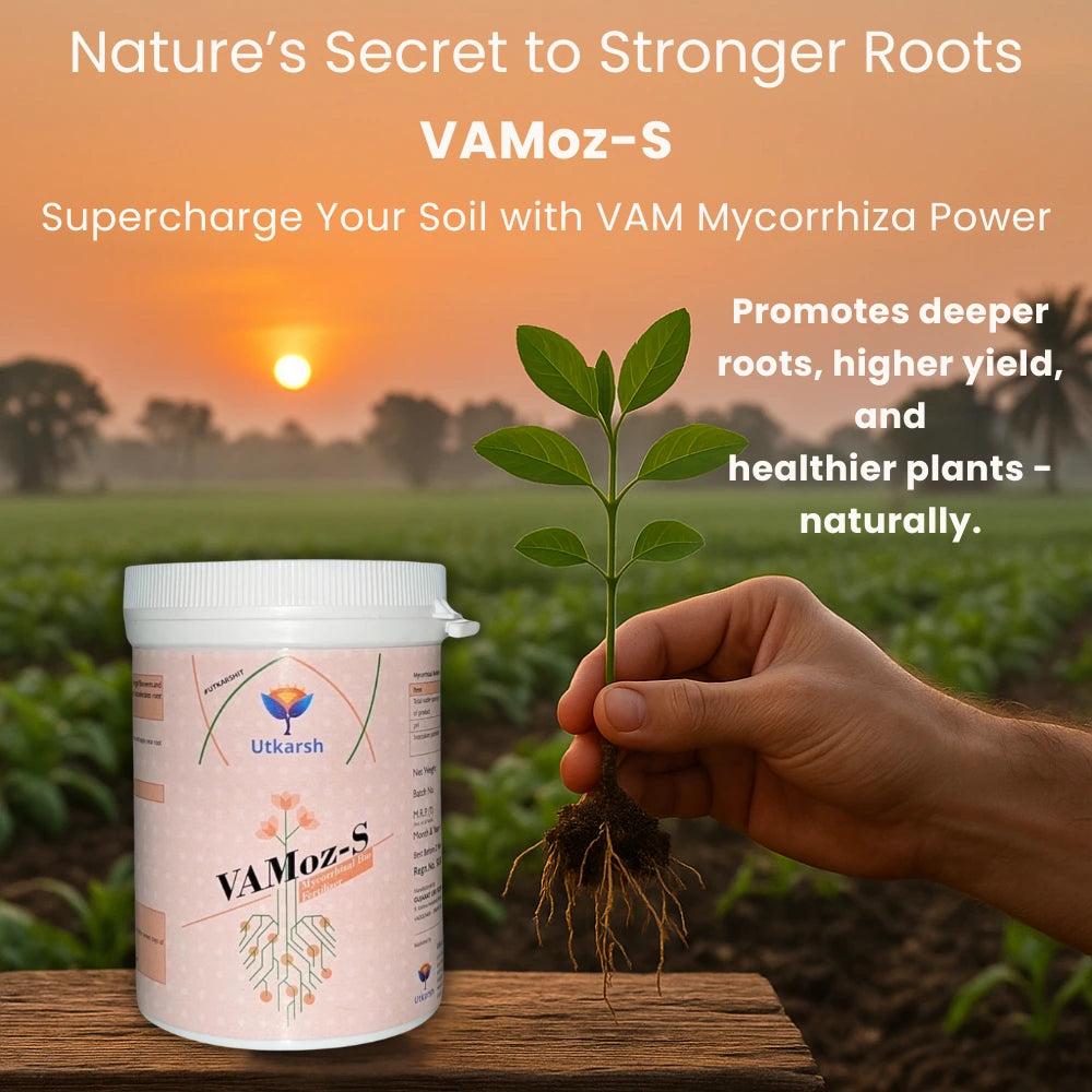 Vamoz S bio fertilizer infographic for sulfur nutrient support in crops
