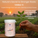 Vamoz S bio fertilizer infographic for sulfur nutrient support in crops
