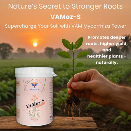 Vamoz S bio fertilizer infographic for sulfur nutrient support in crops
