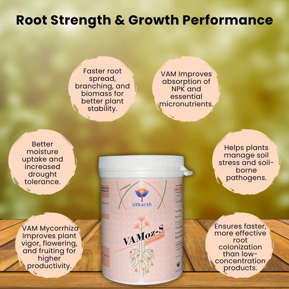 Mycorrhiza Powder with 5000 IP/gm, Bio Fertilizers for Plants, Root Growth, Plant Health Promoter, Home Garden | Vamoz - S