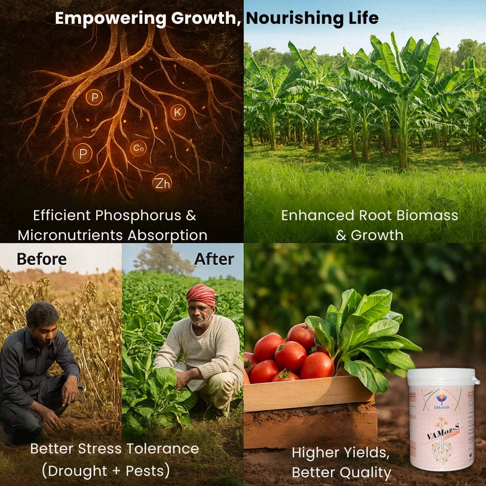 Mycorrhiza Powder with 5000 IP/gm, Bio Fertilizers for Plants, Root Growth, Plant Health Promoter, Home Garden | Vamoz - S