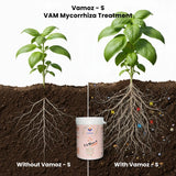 Mycorrhiza Powder with 5000 IP/gm, Bio Fertilizers for Plants, Root Growth, Plant Health Promoter, Home Garden | Vamoz - S