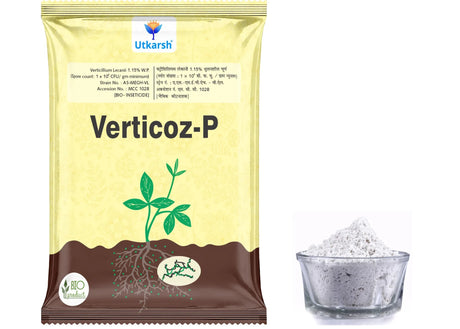 Verticillium Lecanii 1.15% W.P. 1 x 10 ^ 8 CFU/gm min. Bio Insecticides for Plants, Crops and Home Gardening - Verticoz-P - Utkarsh Agrochem Pvt ltd. 