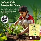 Verticillium Lecanii 1.15% W.P. 1 x 10 ^ 8 CFU/gm min. Bio Insecticides for Plants, Crops and Home Gardening - Verticoz-P - Utkarsh Agrochem Pvt ltd. 