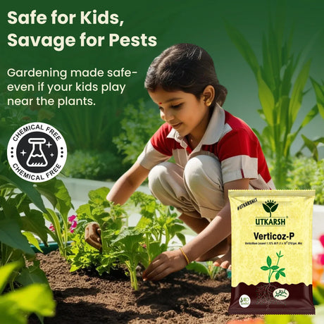 Verticillium Lecanii 1.15% W.P. 1 x 10 ^ 8 CFU/gm min. Bio Insecticides for Plants, Crops and Home Gardening - Verticoz-P - Utkarsh Agrochem Pvt ltd. 
