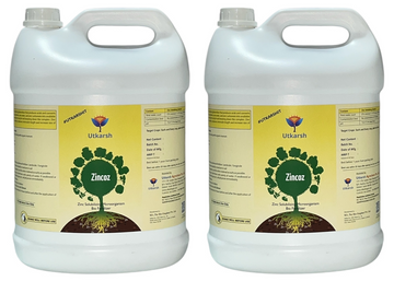 Zincoz (Zinc Solubilizing Microorganism), 20 Litre