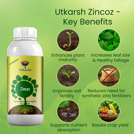 Zinc Solubilizing Microbes, Liquid Bio Fertilizer for Plants Growth, Increases Leaf Size & Promotes Healthy Green Foliage of Plants & Internode Length | Zincoz - 20 Litre - Utkarsh Agrochem Pvt ltd. 
