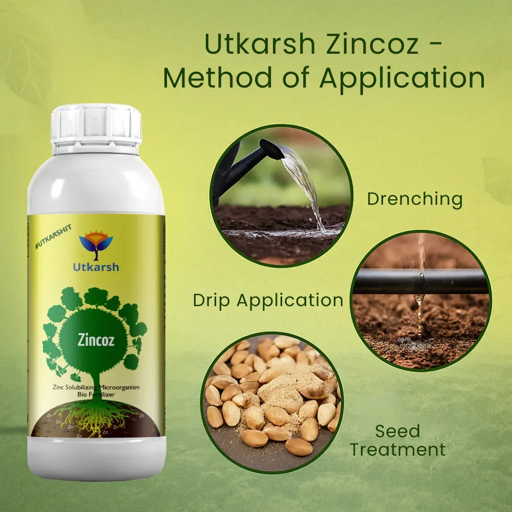 Zinc Solubilizing Microbes, Liquid Bio Fertilizer for Plants Growth, Increases Leaf Size & Promotes Healthy Green Foliage of Plants & Internode Length | Zincoz - 20 Litre - Utkarsh Agrochem Pvt ltd. 