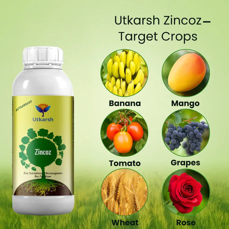 Zinc Solubilizing Microbes, Liquid Bio Fertilizer for Plants Growth, Increases Leaf Size & Promotes Healthy Green Foliage of Plants & Internode Length | Zincoz - 20 Litre - Utkarsh Agrochem Pvt ltd. 