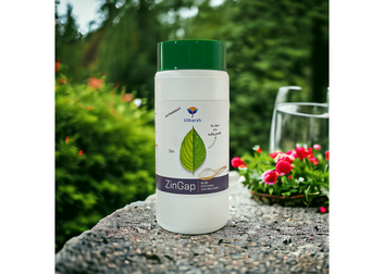 ZinGap (Zinc- Zn 12% EDTA Chelated, 100% Water Soluble Foliar Spray Fertilizers) Excellent Greenery of Plants, Home Garden, Plant Growth Booster