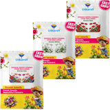 Utkarsh Zinnia Flower Seeds - Combo Pack of 6 | Orange, Yellow, White, Red, Pink & Zinnia Mix | Beautiful Blooms with 90% Germination Rate | Easy-to-Grow Flowers for Vibrant Home Gardens