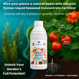 Liquid Seaweed Extract | Organic Plant Growth Promoter for Healthy Plants | Enhances Flowering & Improves Fruit Set | Biostimulant For Home Garden - Zymoz