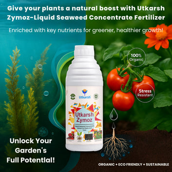 Liquid Seaweed Extract | Organic Plant Growth Promoter for Healthy Plants | Enhances Flowering & Improves Fruit Set | Biostimulant For Home Garden - Zymoz