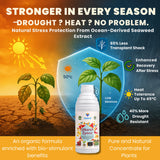 Liquid Seaweed Extract | Organic Plant Growth Promoter for Healthy Plants | Enhances Flowering & Improves Fruit Set | Biostimulant For Home Garden - Zymoz