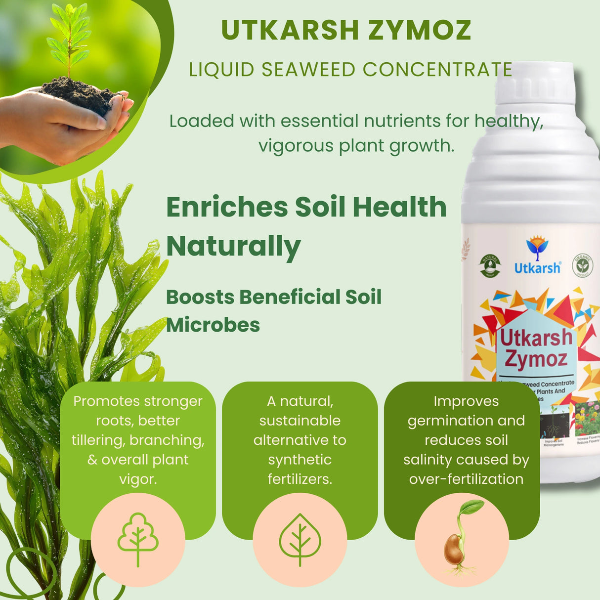 Liquid Seaweed Extract | Organic Plant Growth Promoter for Healthy Plants | Enhances Flowering & Improves Fruit Set | Biostimulant For Home Garden - Zymoz