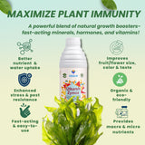Liquid Seaweed Extract | Organic Plant Growth Promoter for Healthy Plants | Enhances Flowering & Improves Fruit Set | Biostimulant For Home Garden - Zymoz