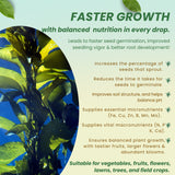 Liquid Seaweed Extract | Organic Plant Growth Promoter for Healthy Plants | Enhances Flowering & Improves Fruit Set | Biostimulant For Home Garden - Zymoz