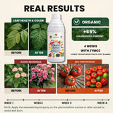 Liquid Seaweed Extract | Organic Plant Growth Promoter for Healthy Plants | Enhances Flowering & Improves Fruit Set | Biostimulant For Home Garden - Zymoz
