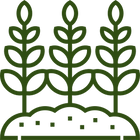 Field Crops