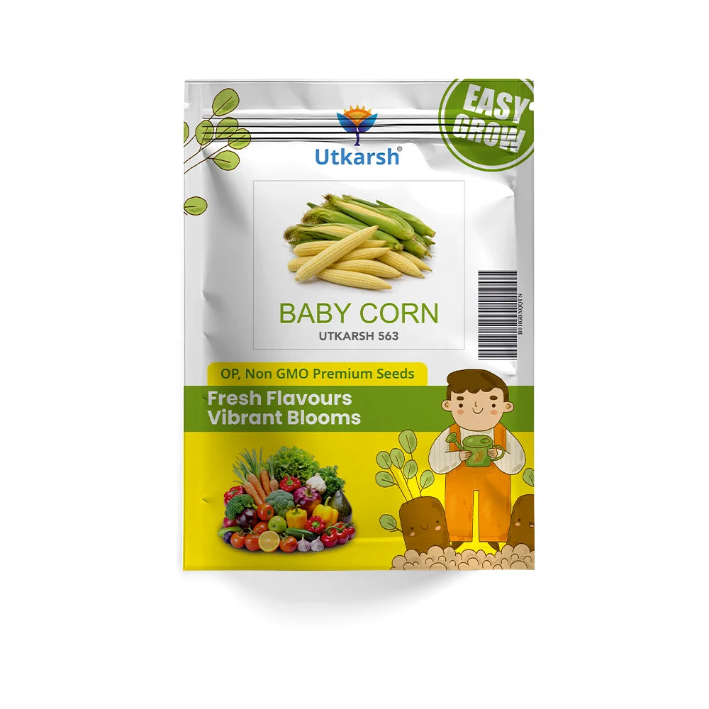 Baby Corn Hybrid Vegetable Seeds | 5 g Pack | Easy to Grow for Home, Kitchen & Backyard Gardens | Ideal for Pots & Terrace Gardening