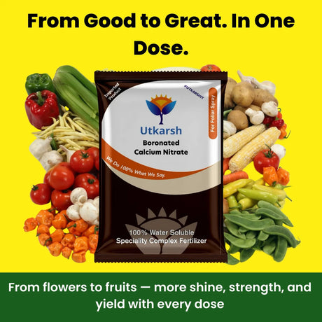 Boronated CAN - Boronated Calcium Nitrate for Plants, 100% Water Soluble Fertilizer, Boosts Healthy Flower and Fruit Growth & Yield in Plants - 25 Kg Bag - Utkarsh Agrochem Pvt ltd. 
